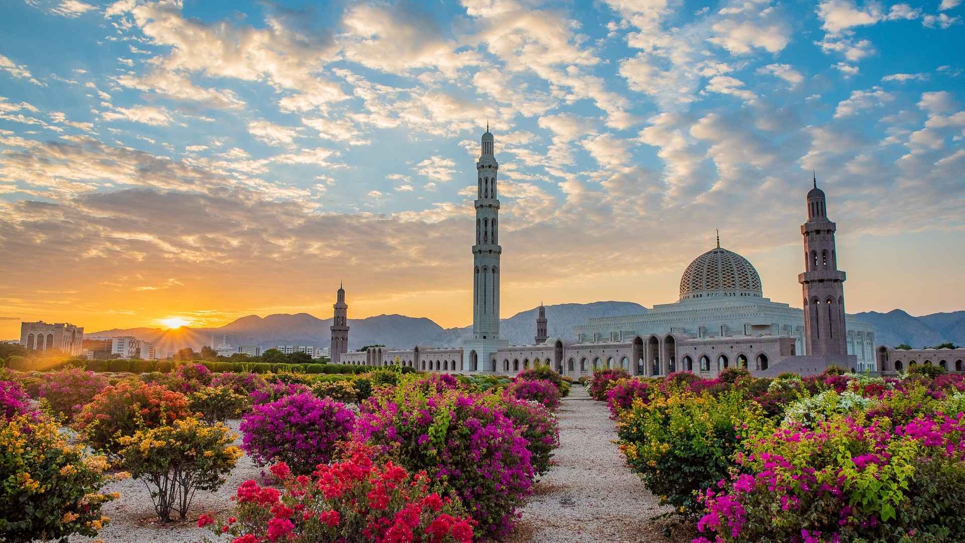 Reasons to Travel to Muscat