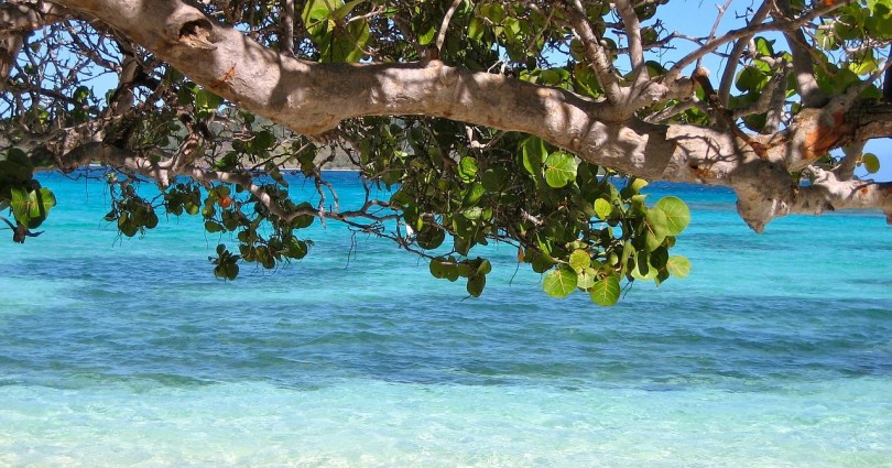 move-to-Barbados
