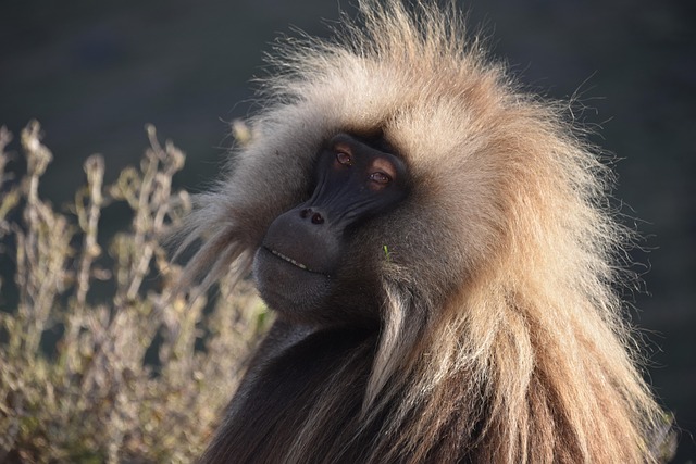 travel to Ethiopia